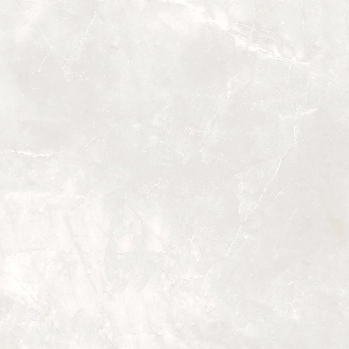 Off White Porcelain Tile 1200x1200mm Single Tile 2 - Elvian Range - Tiles on Top
