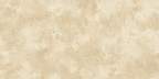 Beige - Ivory Tone Porcelain Floor and Wall Tile 300x600mm Single Tile - Tiles on Top