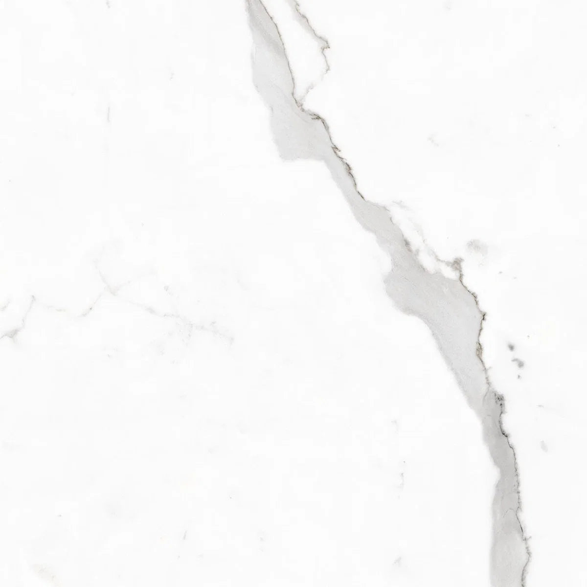 Calacatta Nova Polished Porcelain Wall and Floor Tile 600x600mm