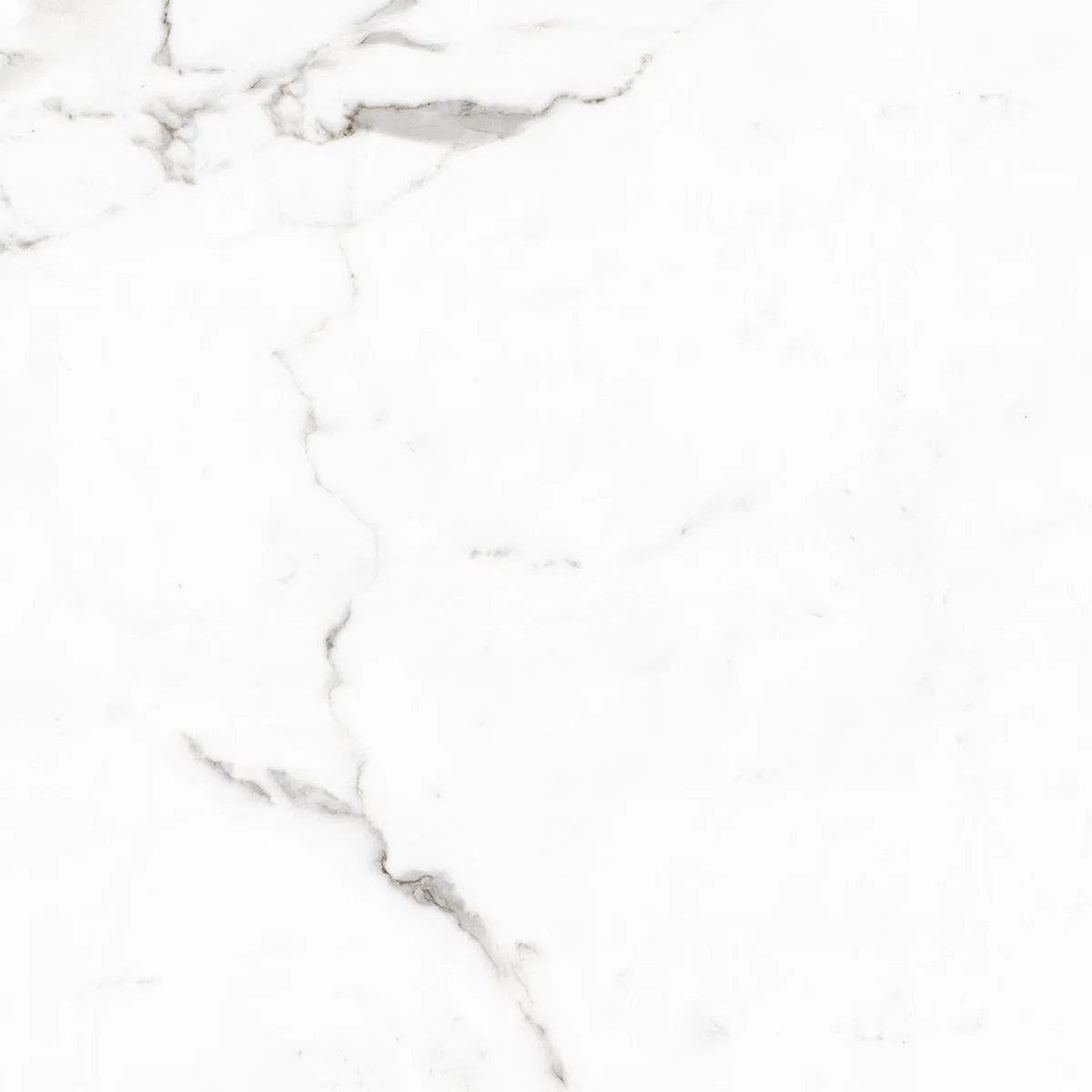 Calacatta Nova Polished Porcelain Wall and Floor Tile 600x600mm