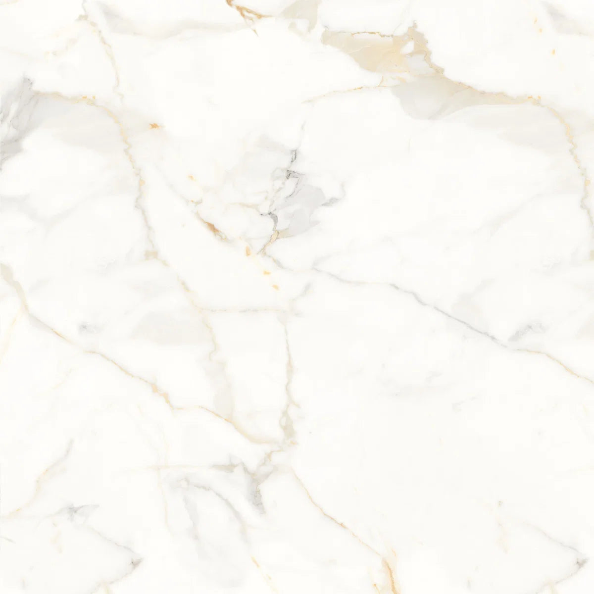 Marbella Gold Matt Porcelain Wall and Floor Tile 800x800mm