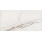 Marble Dorello Ceramic Wall Tile 300x600mm