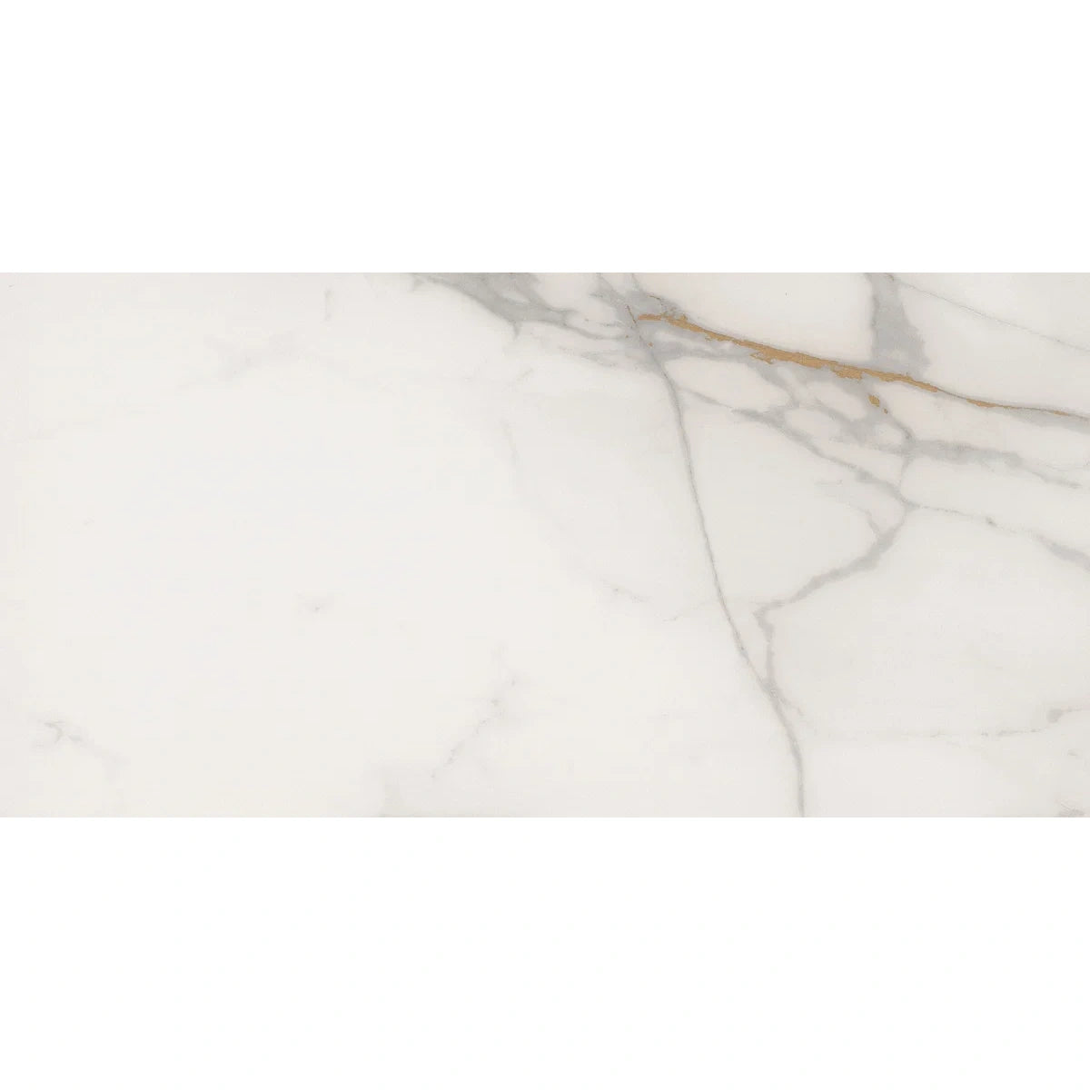 Marble Dorello Ceramic Wall Tile 300x600mm