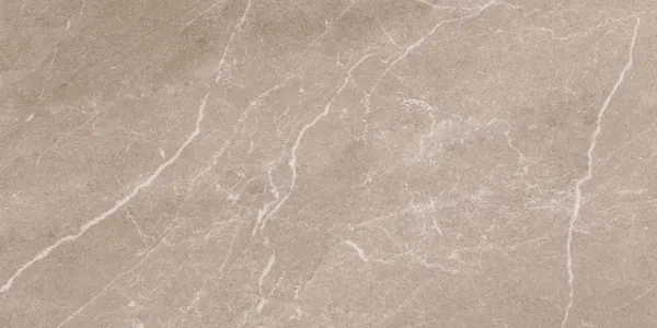 Monterra Beige Matt Porcelain Wall and Floor Tile 600x300mm