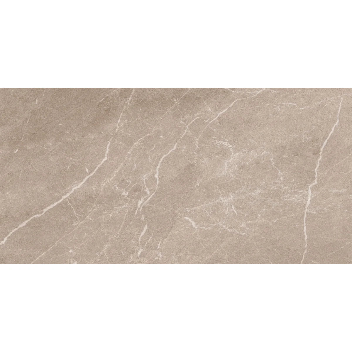 Monterra Beige Matt Porcelain Wall and Floor Tile 600x300mm