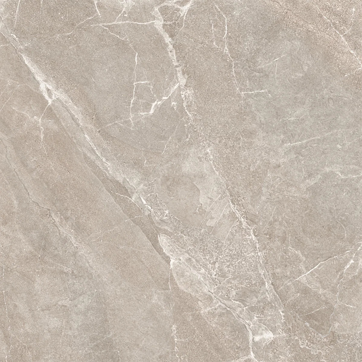 Grey Porcelain Tile 1000x1000mm Single Tile 2 - Monterra Range - Tiles on Top