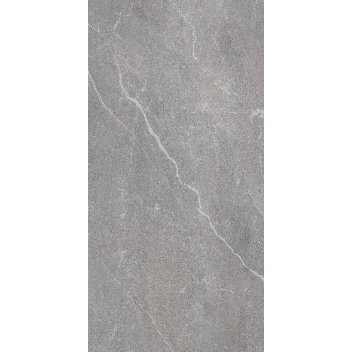 Grey Porcelain Tile 600x1200mm Single Tile 2 - Monterra Range - Tiles on Top