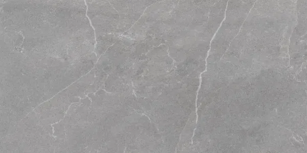 Monterra Grey Matt Porcelain Wall and Floor Tile 600x300mm