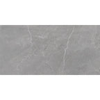 Monterra Grey Matt Porcelain Wall and Floor Tile 600x300mm