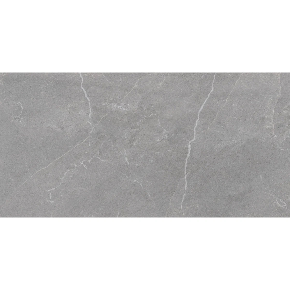 Monterra Grey Matt Porcelain Wall and Floor Tile 600x300mm
