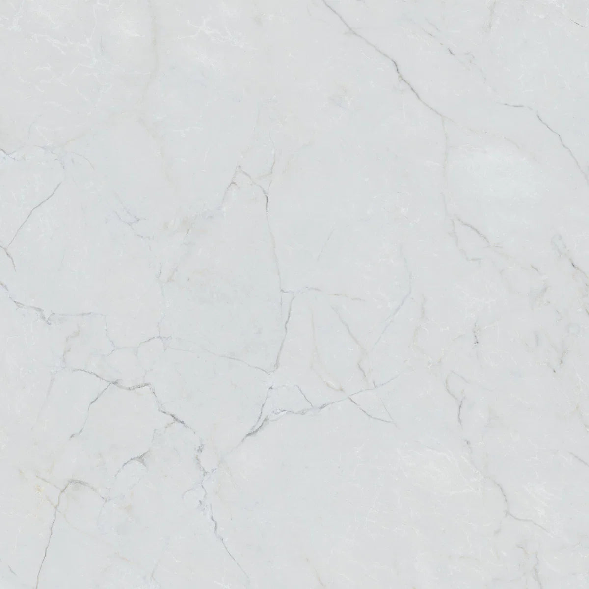 White Marble Effect Porcelain Tile 980x980mm Single Tile 2 - Tiles on Top
